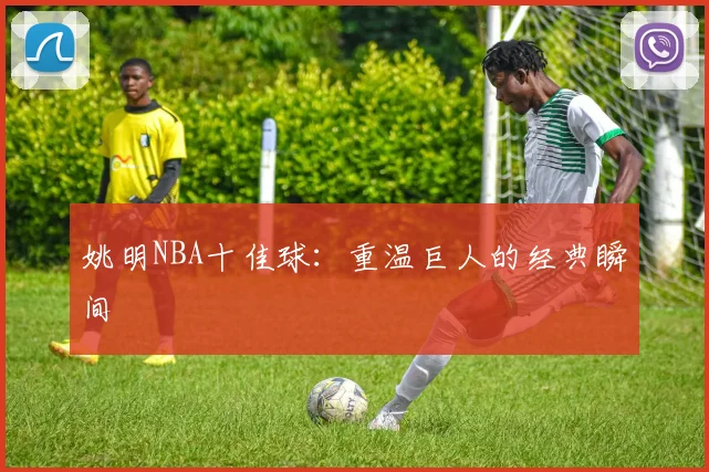 姚明NBA十佳球：重温巨人的经典瞬间
