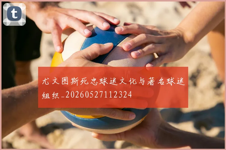 尤文图斯死忠球迷文化与著名球迷组织_20260527112324