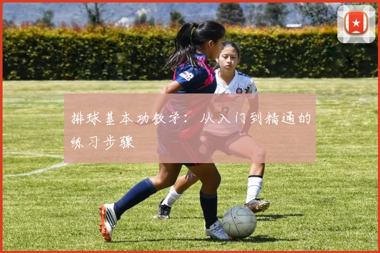 排球基本功教学:从入门到精通的练习步骤