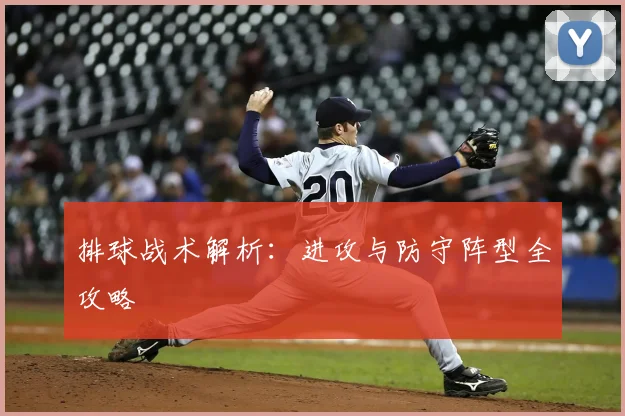 排球战术解析:进攻与防守阵型全攻略