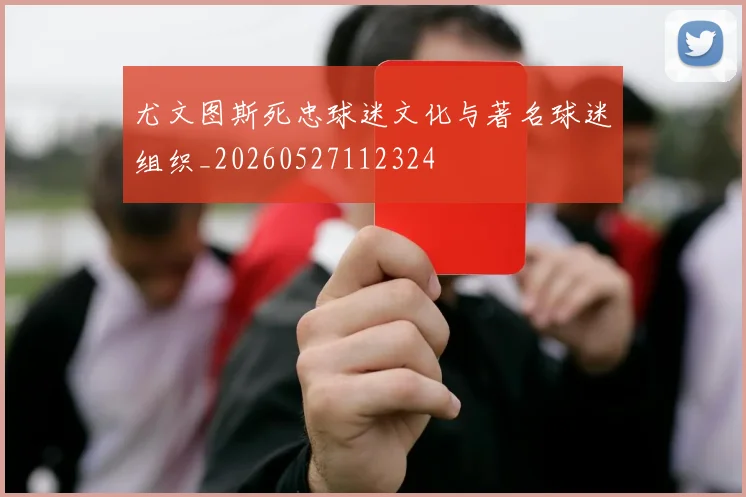 尤文图斯死忠球迷文化与著名球迷组织_20260527112324